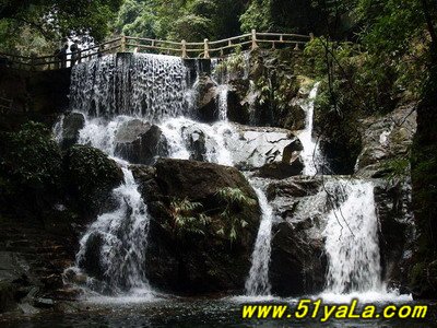 鼎湖山景区