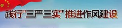 践行三严三实推进作风建设专题